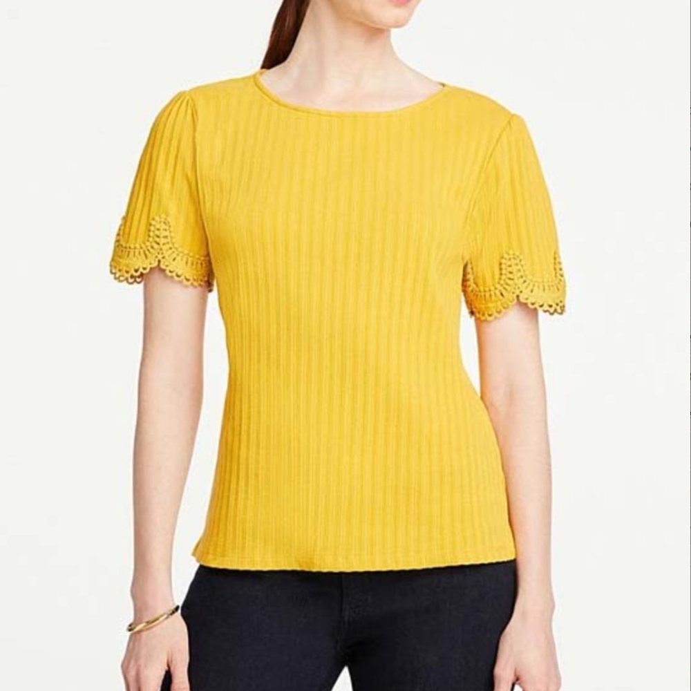 Ann Taylor Short Sleeve Pointelle Trim Top - M, Saffron Yellow